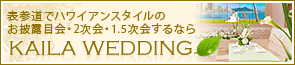 �����饦���ǥ���